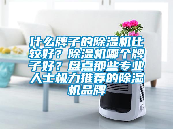 什么牌子的除濕機比較好？除濕機哪個牌子好？盤點那些專業(yè)人士極力推薦的除濕機品牌