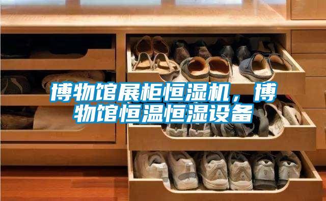博物館展柜恒濕機(jī)，博物館恒溫恒濕設(shè)備