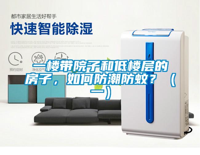 一樓帶院子和低樓層的房子，如何防潮防蚊？（一）