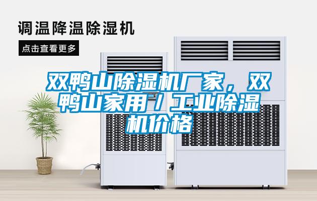 雙鴨山除濕機(jī)廠家，雙鴨山家用／工業(yè)除濕機(jī)價(jià)格