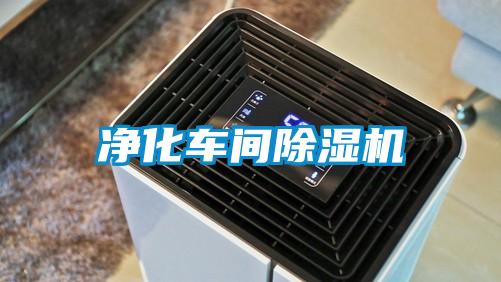 凈化車(chē)間除濕機(jī)