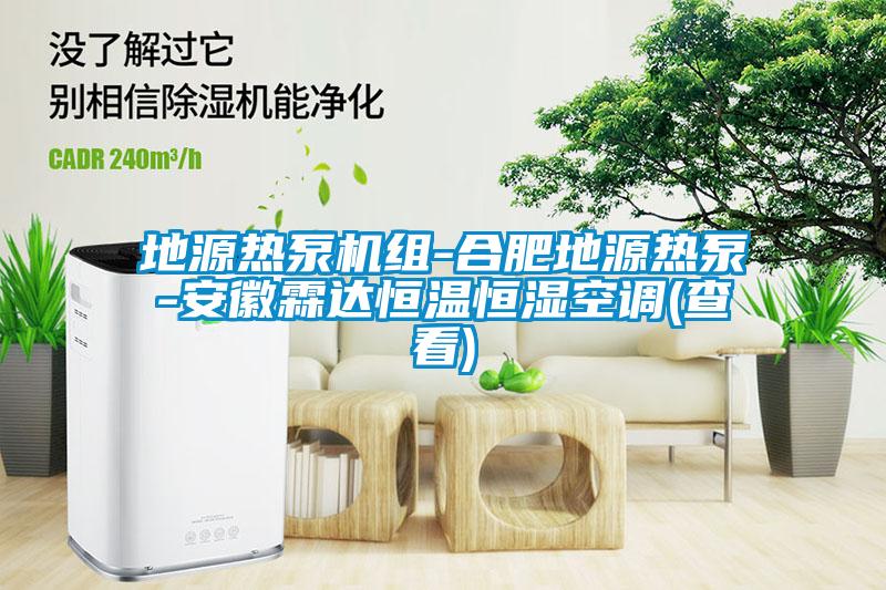 地源熱泵機組-合肥地源熱泵-安徽霖達(dá)恒溫恒濕空調(diào)(查看)