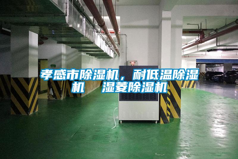 孝感市除濕機(jī)，耐低溫除濕機(jī)  濕菱除濕機(jī)