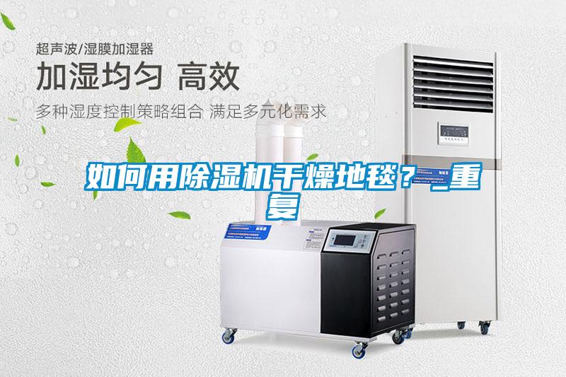 如何用除濕機(jī)干燥地毯？_重復(fù)
