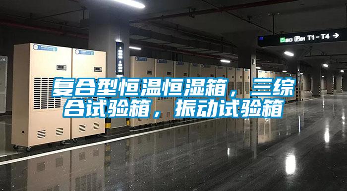 復合型恒溫恒濕箱，三綜合試驗箱，振動試驗箱