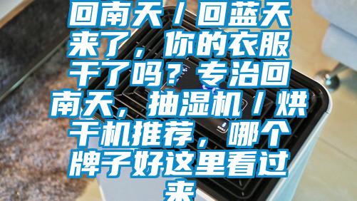 回南天／回藍(lán)天來了，你的衣服干了嗎？專治回南天，抽濕機(jī)／烘干機(jī)推薦，哪個(gè)牌子好這里看過來