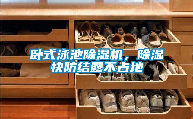 臥式泳池除濕機，除濕快防結(jié)露不占地