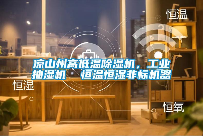 涼山州高低溫除濕機，工業(yè)抽濕機  恒溫恒濕非標(biāo)機器