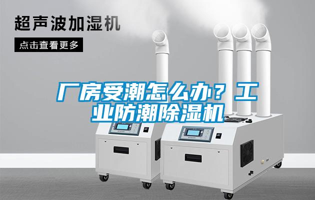 廠房受潮怎么辦？工業(yè)防潮除濕機(jī)