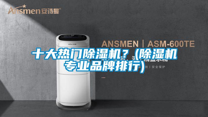 十大熱門除濕機(jī)？(除濕機(jī)專業(yè)品牌排行)