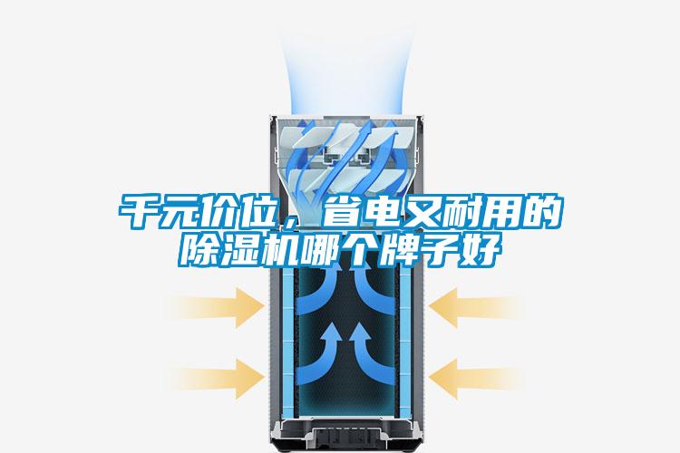 千元價(jià)位，省電又耐用的除濕機(jī)哪個(gè)牌子好