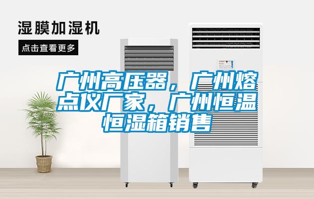 廣州高壓器，廣州熔點(diǎn)儀廠家，廣州恒溫恒濕箱銷售