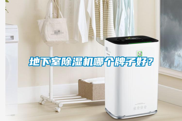 地下室除濕機(jī)哪個(gè)牌子好？