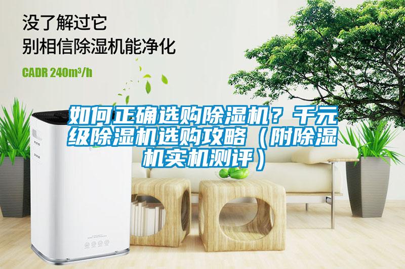 如何正確選購除濕機？千元級除濕機選購攻略（附除濕機實機測評）