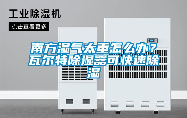 南方濕氣太重怎么辦？瓦爾特除濕器可快速除濕