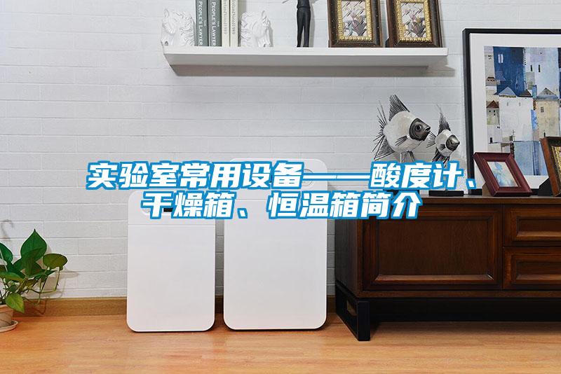 實(shí)驗(yàn)室常用設(shè)備——酸度計(jì)、干燥箱、恒溫箱簡(jiǎn)介