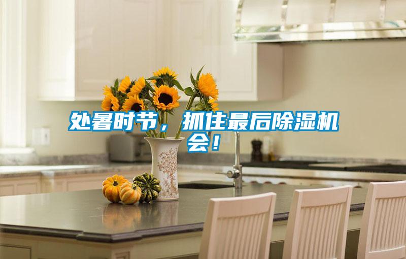處暑時節(jié)，抓住最后除濕機會！