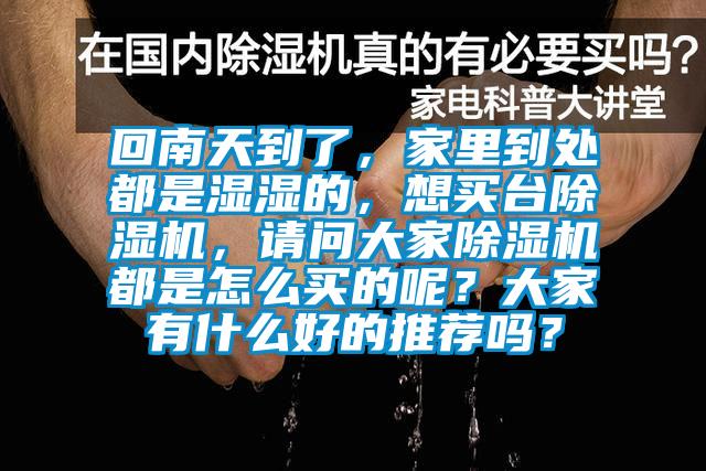 回南天到了，家里到處都是濕濕的，想買臺除濕機，請問大家除濕機都是怎么買的呢？大家有什么好的推薦嗎？