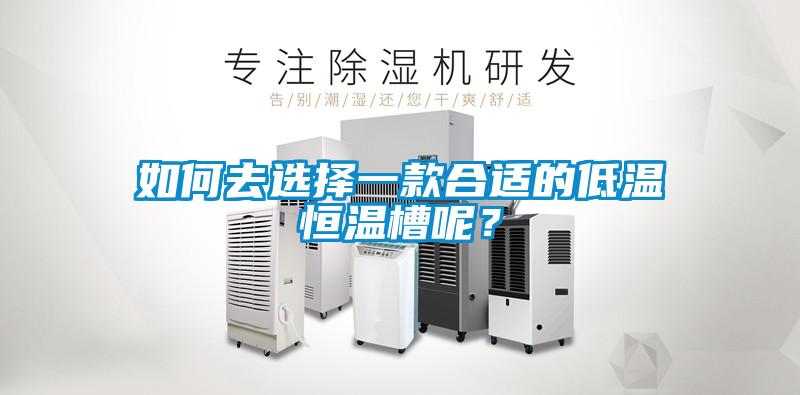 如何去選擇一款合適的低溫恒溫槽呢？