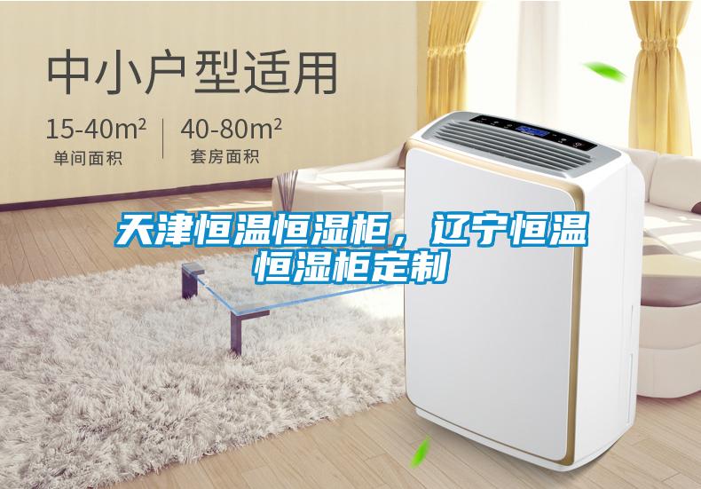 天津恒溫恒濕柜，遼寧恒溫恒濕柜定制