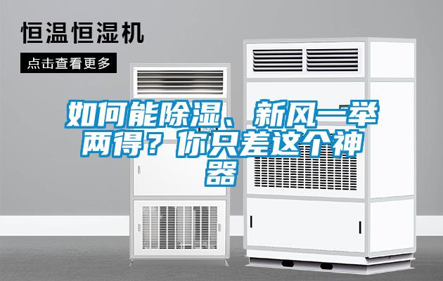 如何能除濕、新風(fēng)一舉兩得？你只差這個(gè)神器