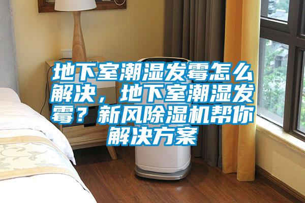 地下室潮濕發(fā)霉怎么解決，地下室潮濕發(fā)霉？新風除濕機幫你解決方案