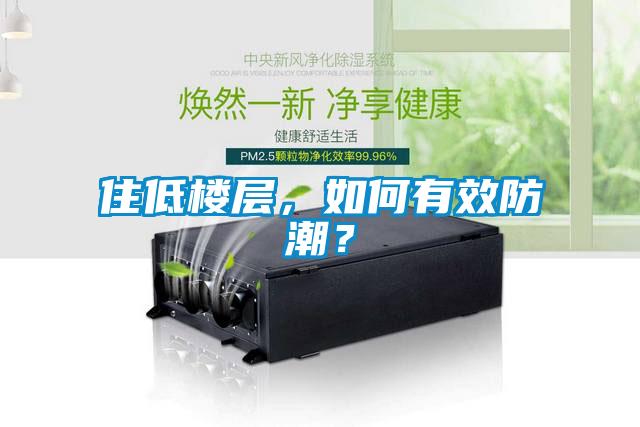 住低樓層，如何有效防潮？