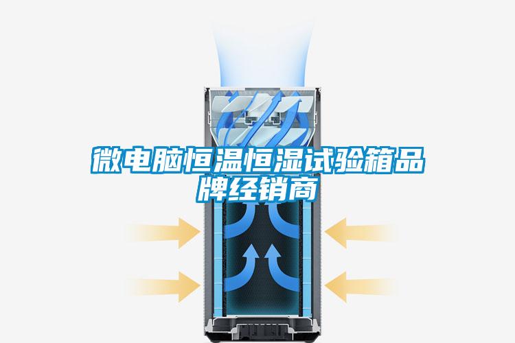 微電腦恒溫恒濕試驗(yàn)箱品牌經(jīng)銷(xiāo)商