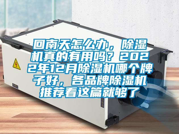 回南天怎么辦，除濕機真的有用嗎？2022年12月除濕機哪個牌子好，各品牌除濕機推薦看這篇就夠了