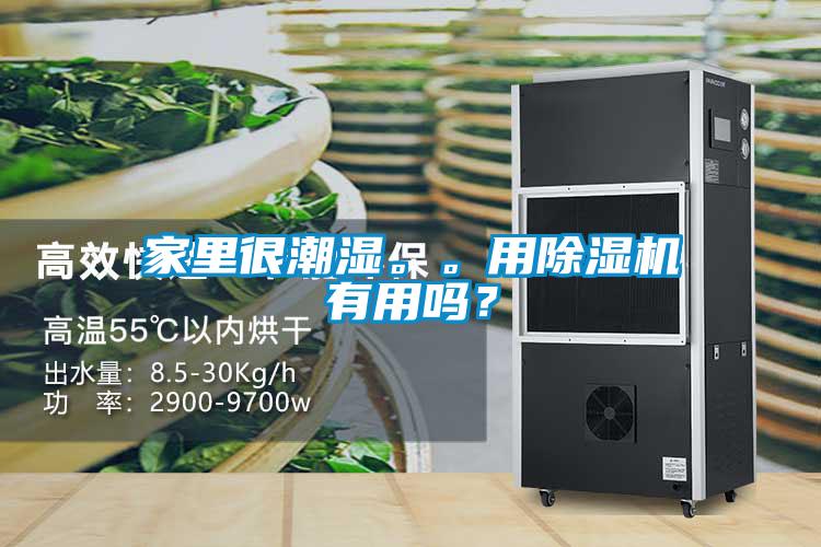 家里很潮濕。。用除濕機(jī)有用嗎？