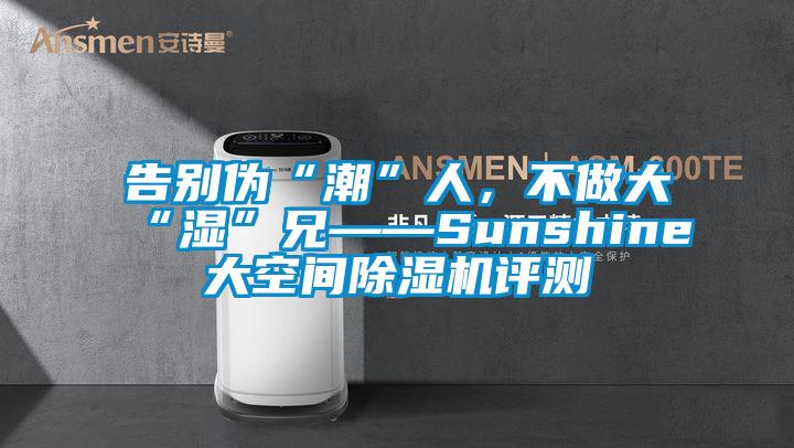 告別偽“潮”人，不做大“濕”兄——Sunshine大空間除濕機(jī)評測