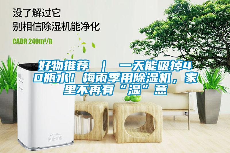 好物推薦 ｜ 一天能吸掉40瓶水！梅雨季用除濕機(jī)，家里不再有“濕”意