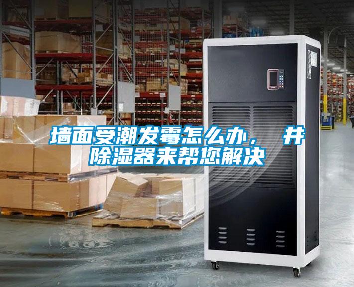 墻面受潮發(fā)霉怎么辦，東井除濕器來幫您解決
