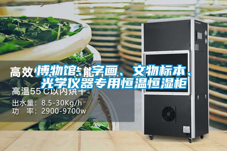 博物館、字畫(huà)、文物標(biāo)本、光學(xué)儀器專用恒溫恒濕柜