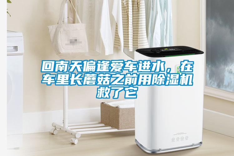 回南天偏逢愛車進(jìn)水，在車?yán)镩L蘑菇之前用除濕機(jī)救了它