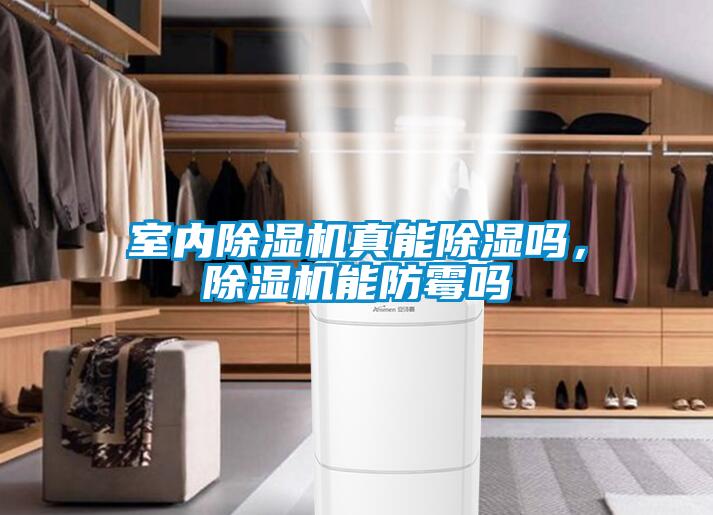室內(nèi)除濕機(jī)真能除濕嗎，除濕機(jī)能防霉嗎