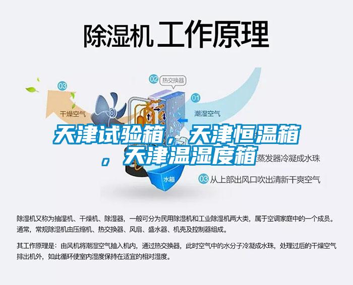 天津試驗(yàn)箱，天津恒溫箱，天津溫濕度箱