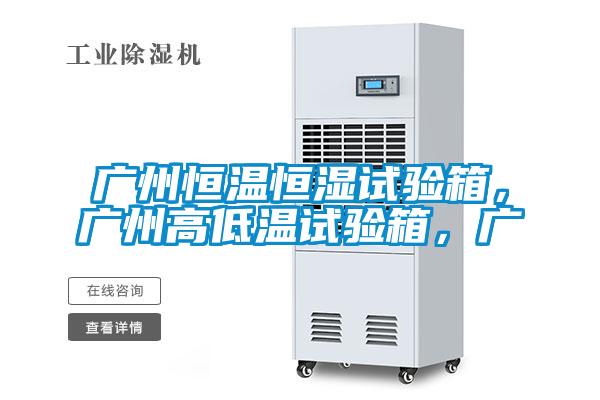 廣州恒溫恒濕試驗(yàn)箱，廣州高低溫試驗(yàn)箱，廣