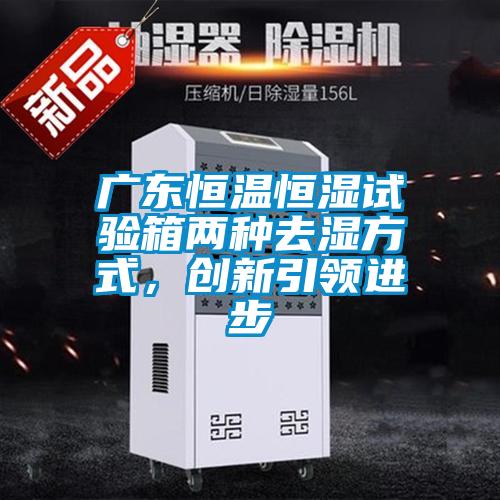 廣東恒溫恒濕試驗(yàn)箱兩種去濕方式，創(chuàng)新引領(lǐng)進(jìn)步