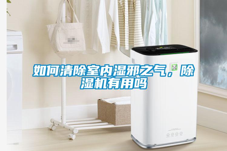 如何清除室內(nèi)濕邪之氣，除濕機(jī)有用嗎