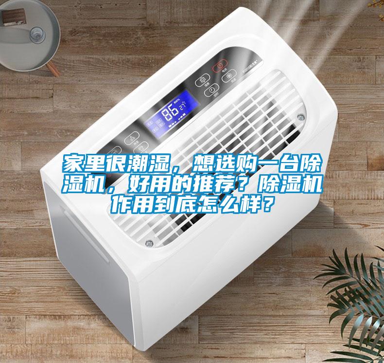 家里很潮濕，想選購一臺除濕機，好用的推薦？除濕機作用到底怎么樣？