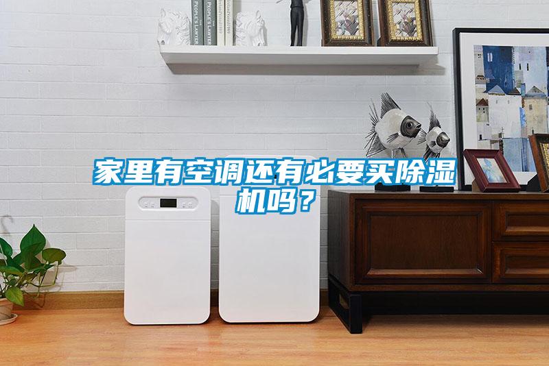 家里有空調(diào)還有必要買除濕機嗎？