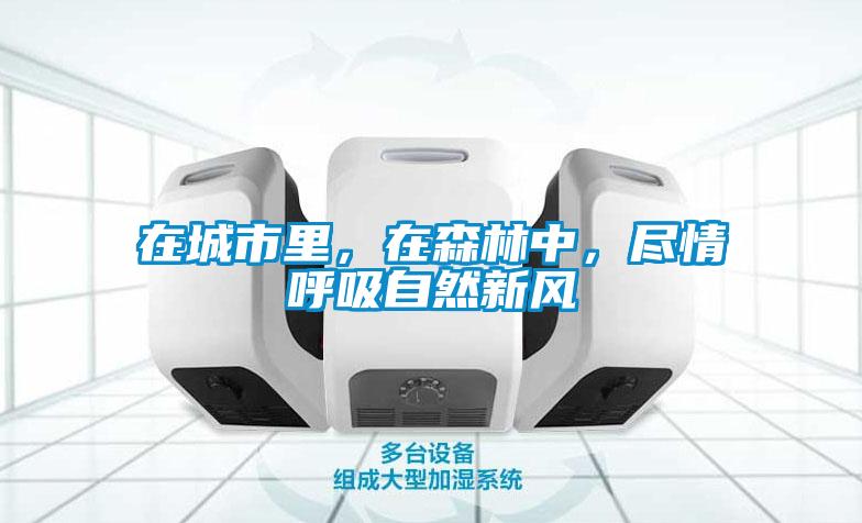 在城市里，在森林中，盡情呼吸自然新風(fēng)