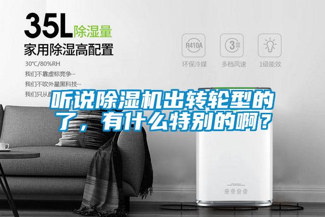 聽說除濕機(jī)出轉(zhuǎn)輪型的了，有什么特別的?。?/></p>
						    <p style=
