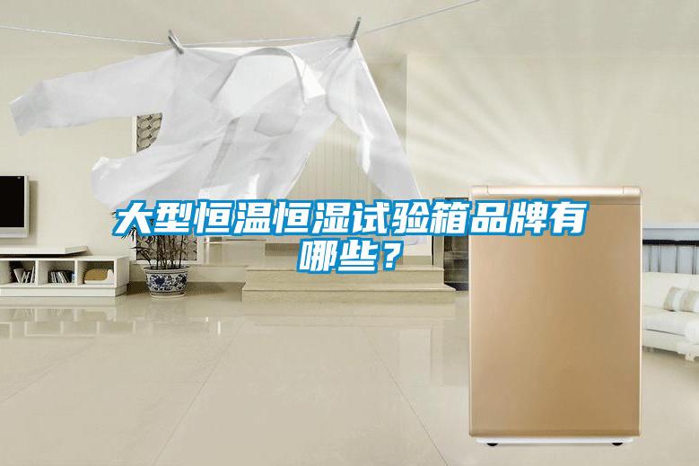 大型恒溫恒濕試驗(yàn)箱品牌有哪些？