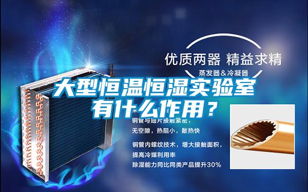 大型恒溫恒濕實驗室有什么作用？