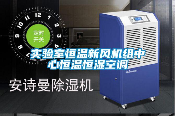 實驗室恒溫新風(fēng)機(jī)組中心恒溫恒濕空調(diào)