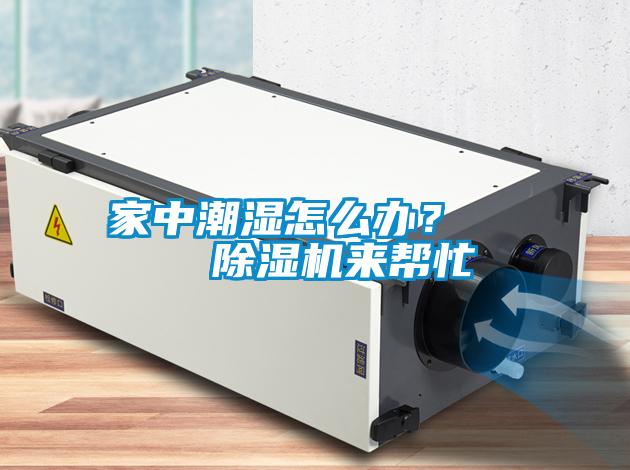 家中潮濕怎么辦？    除濕機來幫忙