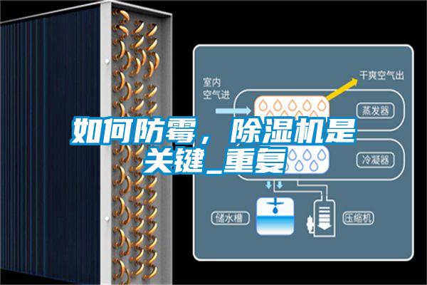 如何防霉，除濕機是關(guān)鍵_重復