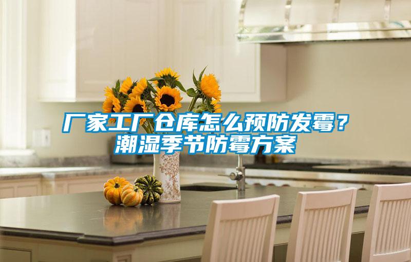 廠家工廠倉庫怎么預(yù)防發(fā)霉？潮濕季節(jié)防霉方案